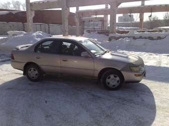 Corolla