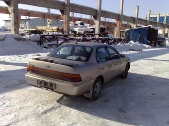 1993 Corolla