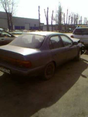 1993 Toyota Corolla