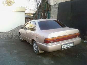 Corolla