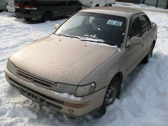 1993 Toyota Corolla