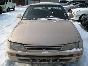 1993 Corolla