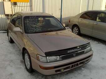 1993 Toyota Corolla