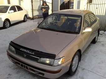 Corolla