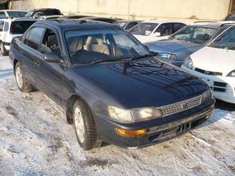 1993 Toyota Corolla