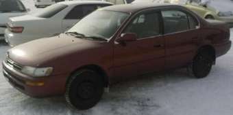 1993 Toyota Corolla