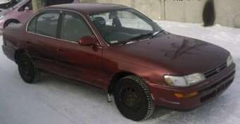 Corolla