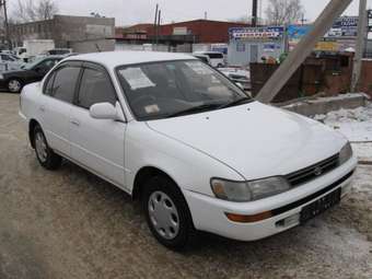 1993 Toyota Corolla