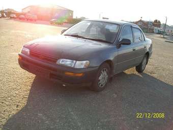1993 Corolla