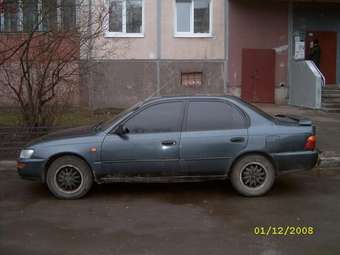 Corolla