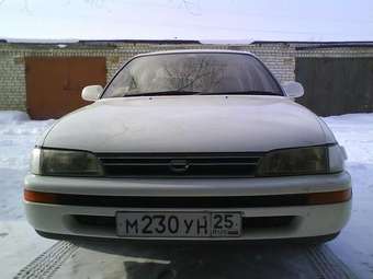 1993 Corolla