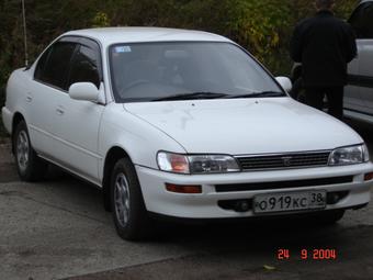 1993 Toyota Corolla