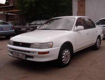 1993 Toyota Corolla Wallpapers