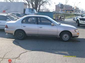 1993 Toyota Corolla Pictures