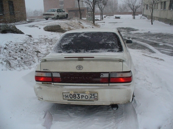 Toyota Corolla