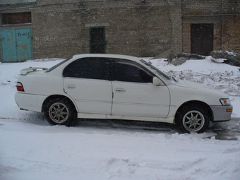 1994 Corolla