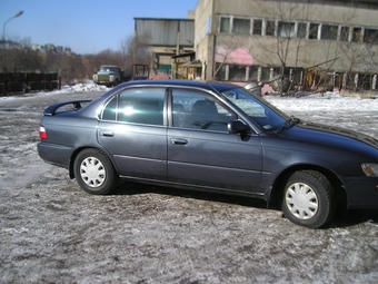 1994 Corolla