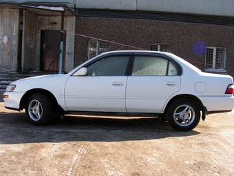 Corolla