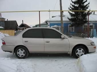 1994 Toyota Corolla