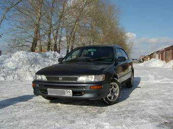 1994 Corolla