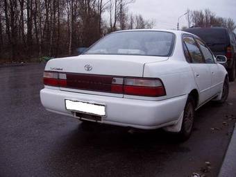1994 Corolla