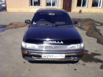 Corolla