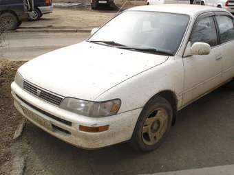 Corolla