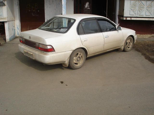 1994 Toyota Corolla