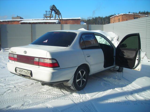 1994 Toyota Corolla