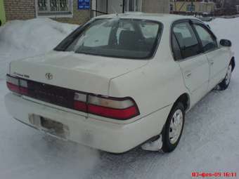 1994 Corolla