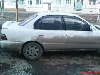 1994 Toyota Corolla