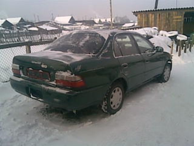 1994 Toyota Corolla