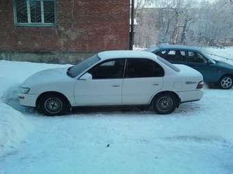 1994 Toyota Corolla