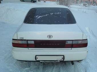 1994 Toyota Corolla Pictures