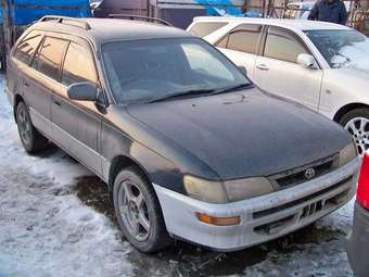 1994 Toyota Corolla Photos