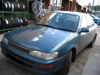 1995 Toyota Corolla