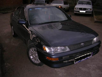 1995 Toyota Corolla