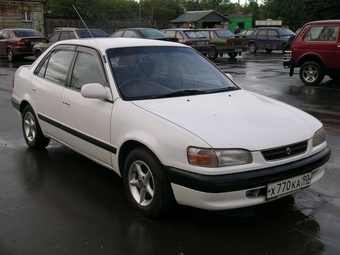 1995 Toyota Corolla