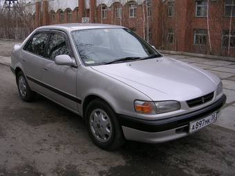1995 Toyota Corolla