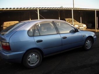 1995 Corolla