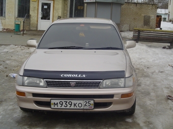 Corolla