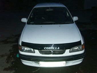 Corolla