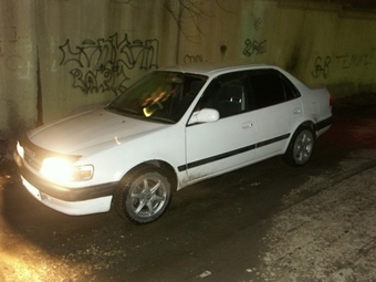 1995 Corolla