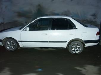 1995 Toyota Corolla