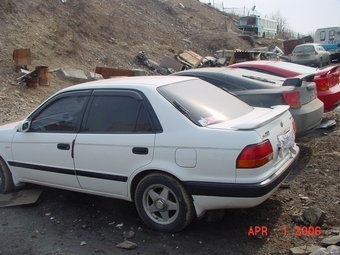 1995 Corolla