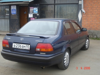 1995 Corolla