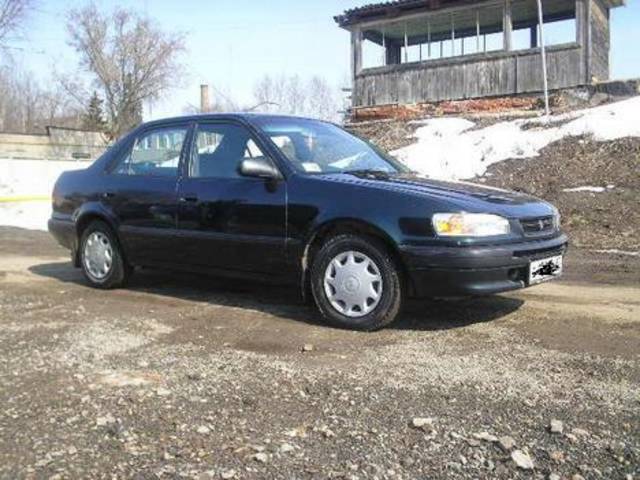 1995 Toyota Corolla