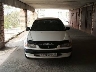 1995 Toyota Corolla