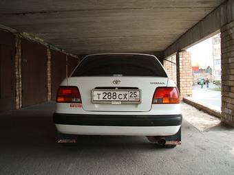 Corolla