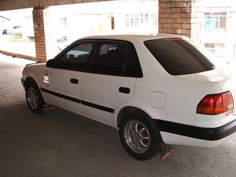 1995 Corolla